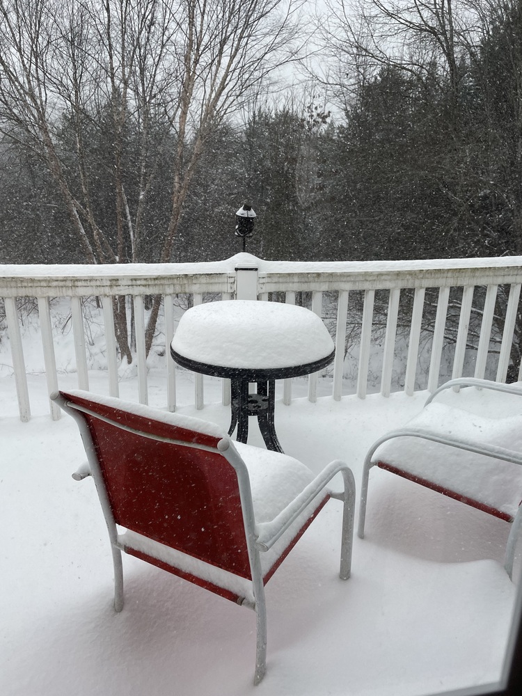 Snow at the Whitener House