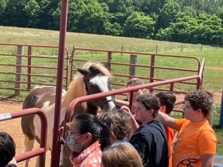 horse farm field trip