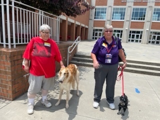 therapy dogs visit