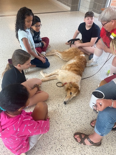 therapy dogs visit