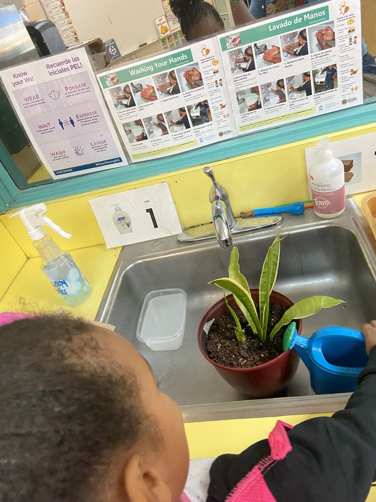 PreK