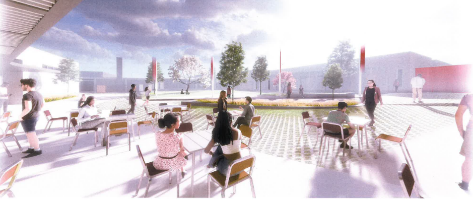 New N-CHS